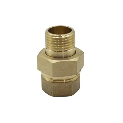 Brass Straight Union With Extension FM